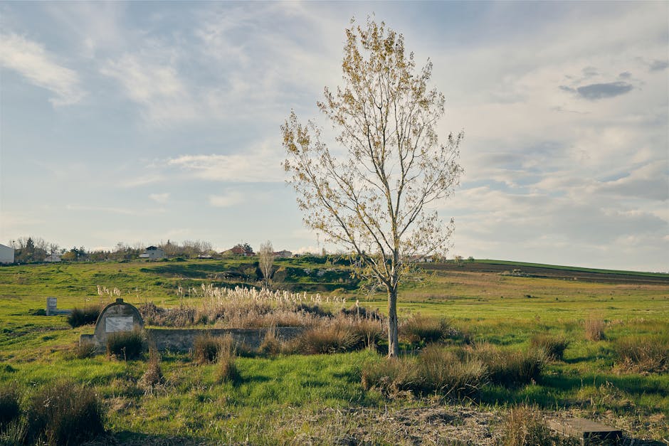 Chantier de devis tranchées d'infiltration