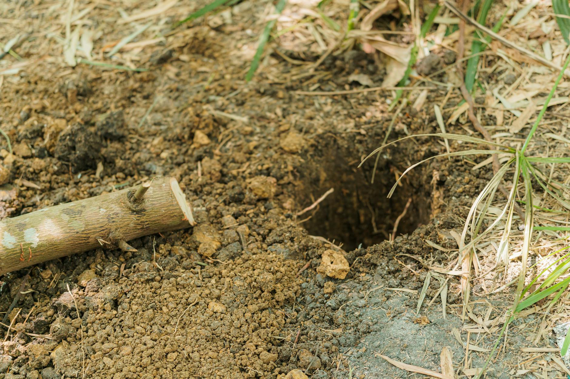 Installation fosse septique : Étapes clés à connaître