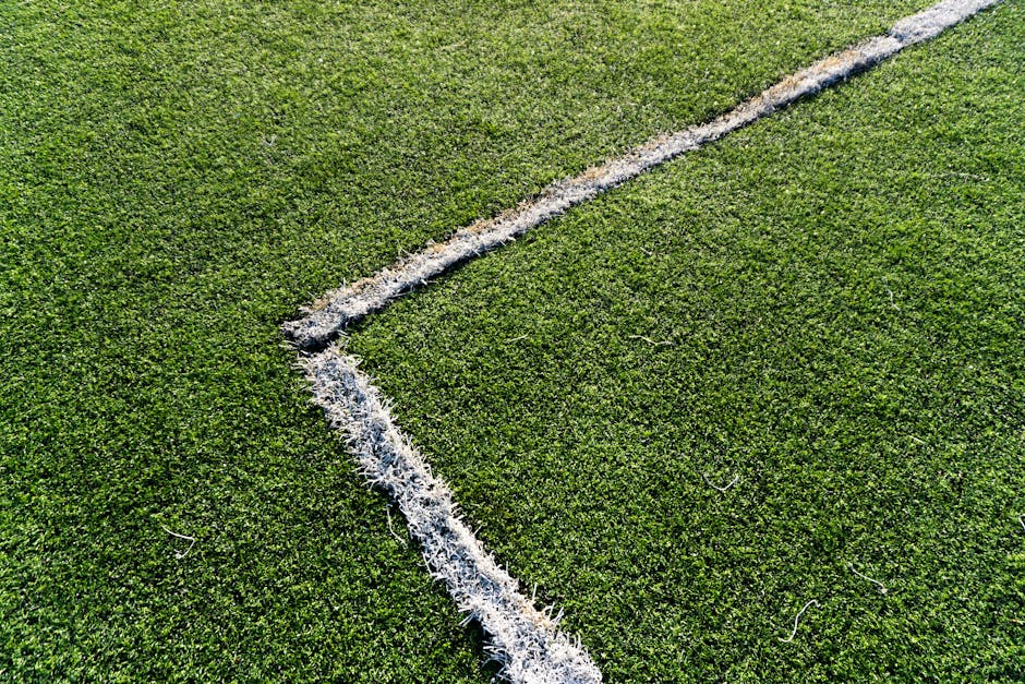 Travaux de leach field installation