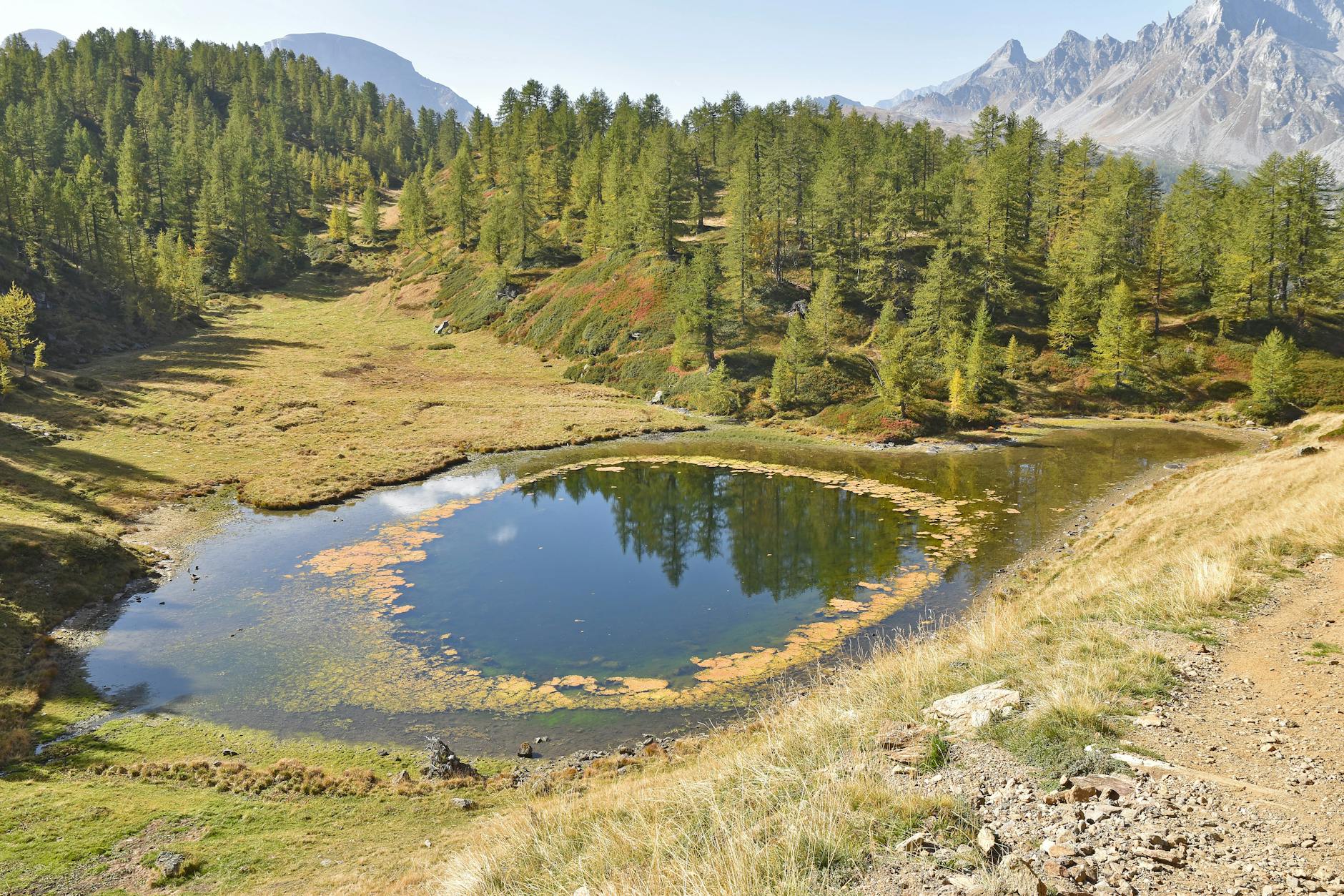 Tarif fosses toutes eaux : Tarifs détaillés et pièges à éviter